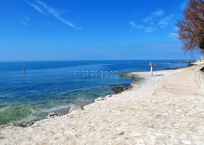 شقة Alma Mit Blick Auf Wasser By Interhome Novigrad Istria